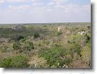 025. foresta attorno c.i. * 2272 x 1704 * (802KB)
