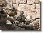 064. iguana uxmal * 2272 x 1704 * (837KB)