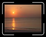 164. tramonto nungwi spiaggia * 2272 x 1704 * (869KB)